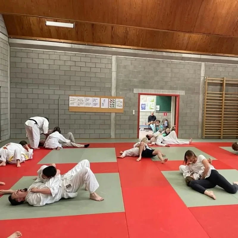 🤼‍♂️ Houdgreep in de kijker: Kuzure Kesa Gatame - afbeelding 1
