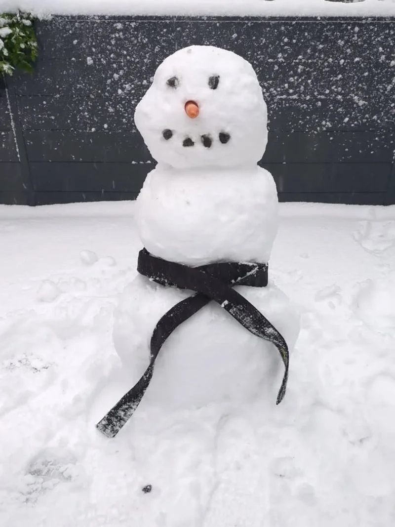 Wegens de uitzonderlijke weersomstandigheden zal de training van deze avond niet doorgaan ❄️❄️ - afbeelding 1