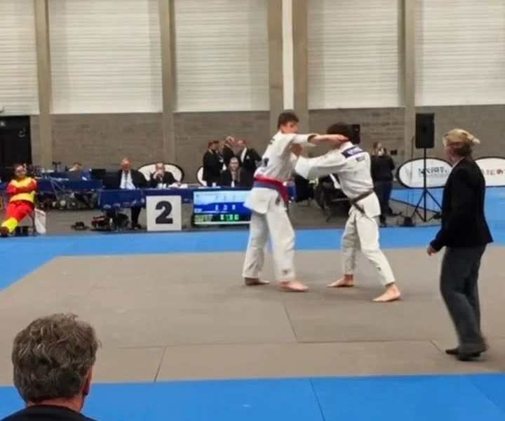 Regionaal kampioenschap - afbeelding 2