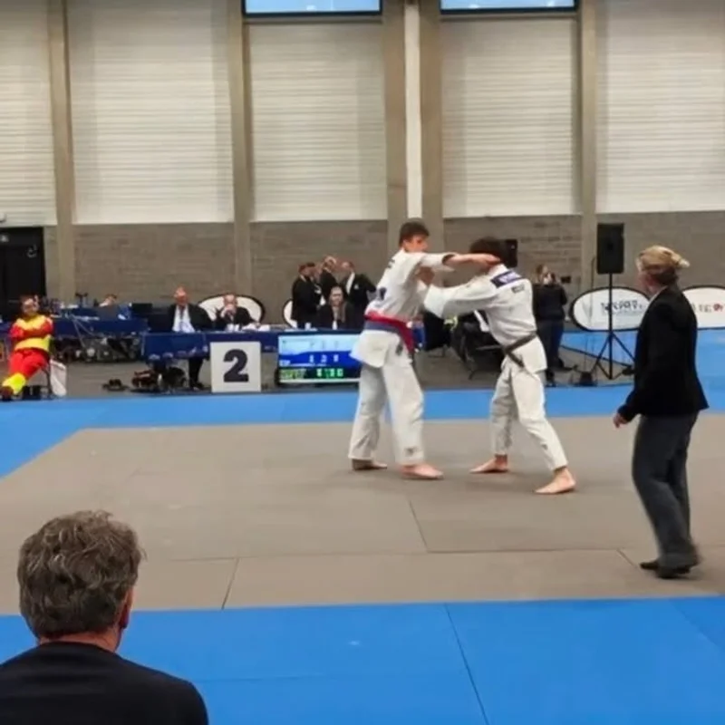 Regionaal kampioenschap - afbeelding 2