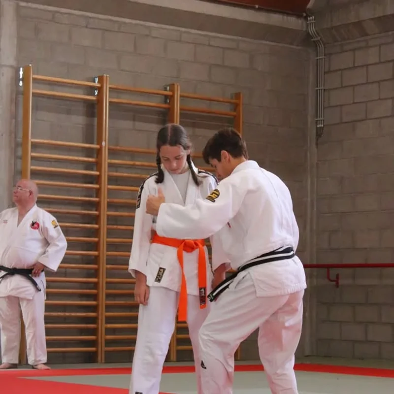 🥋 Throwback - afbeelding 3