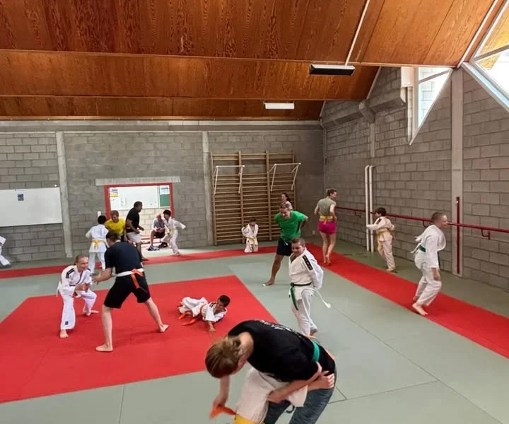 Afgelopen zondag sloten we ons judoseizoen af, met toch een beetje spijt in het hart. Wat hebben we er samen een fantastisch jaar van gemaakt! We hebben genoten van elke training, wedstrijd en activiteit, en kijken nu al uit naar nog vele mooie jaren samen. - afbeelding 4