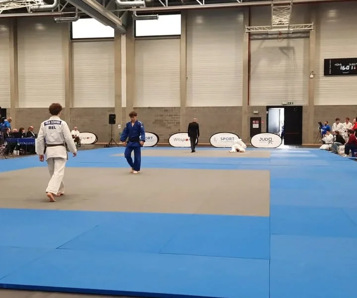 Regionaal kampioenschap - afbeelding 4