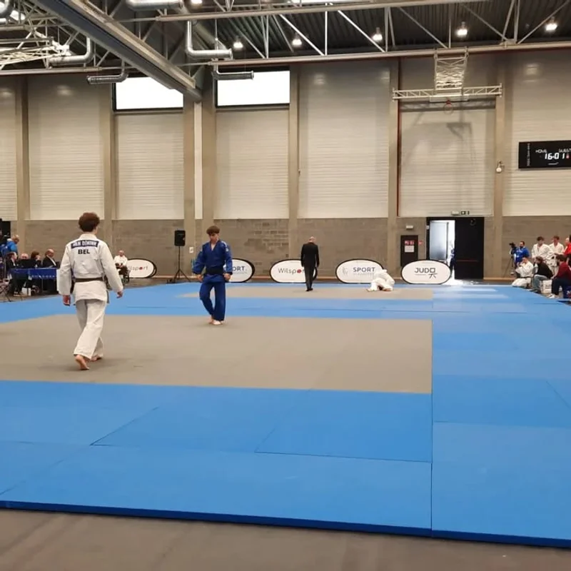 Regionaal kampioenschap - afbeelding 4