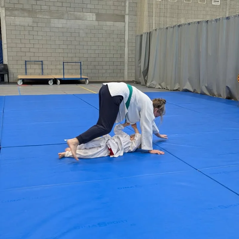 Wist je dat… - afbeelding 5